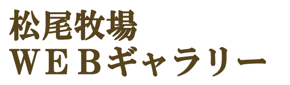 松尾牧場ＷＥＢギャラリー